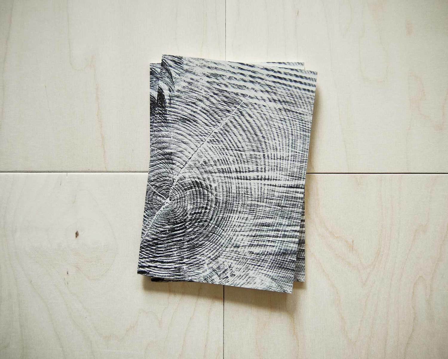 Notebooks Nr. I – X