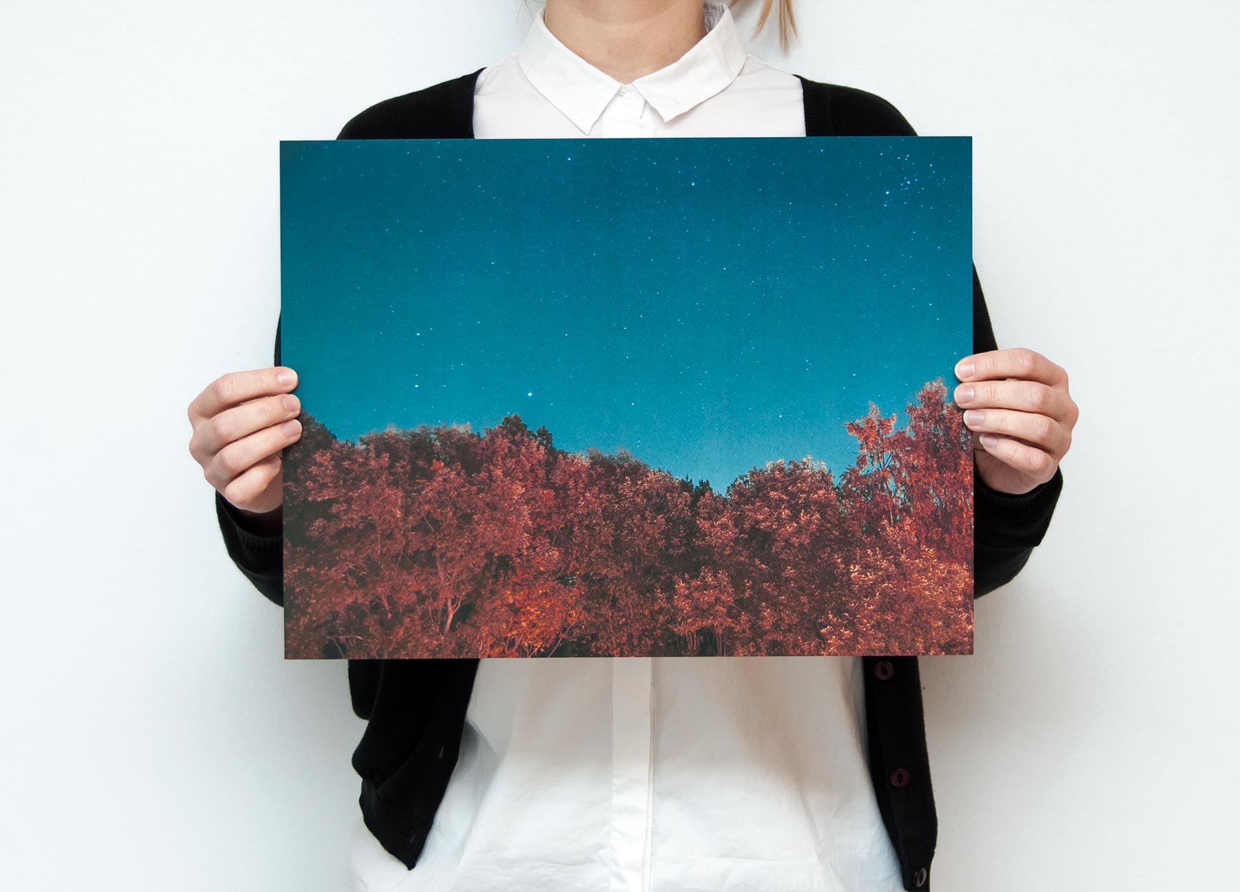 Slider / Gallery Example